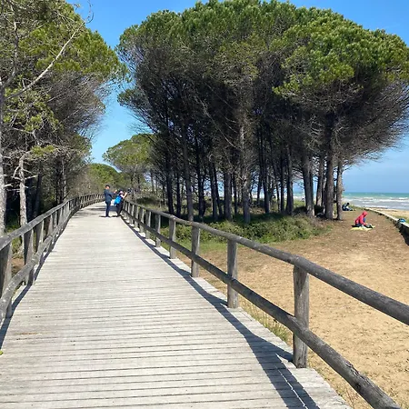 Daire Luminous Flat With Balcony-beahost Bibione