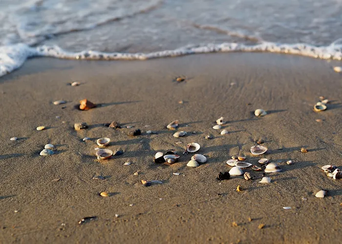 Διαμέρισμα Luminous Flat With Balcony-beahost